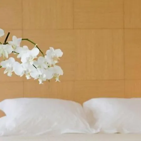 Alzinn Hotel 4*